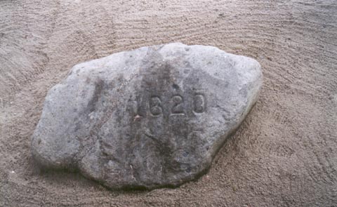Plymouth Rock